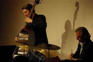bassist bassist